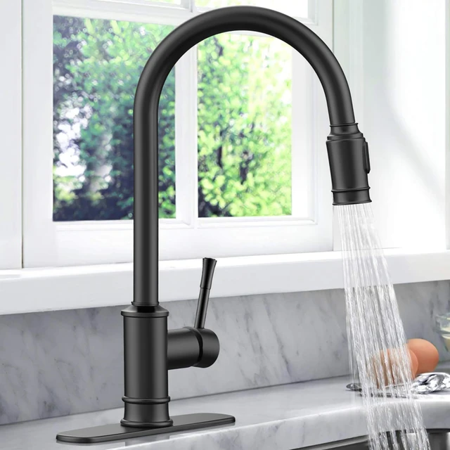 Kitchen Faucet with Sprayer