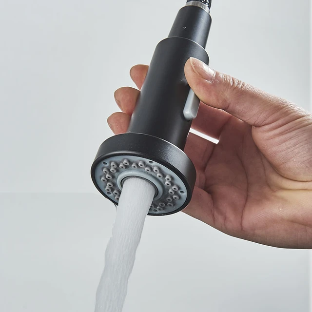 Kitchen Faucet with Sprayer