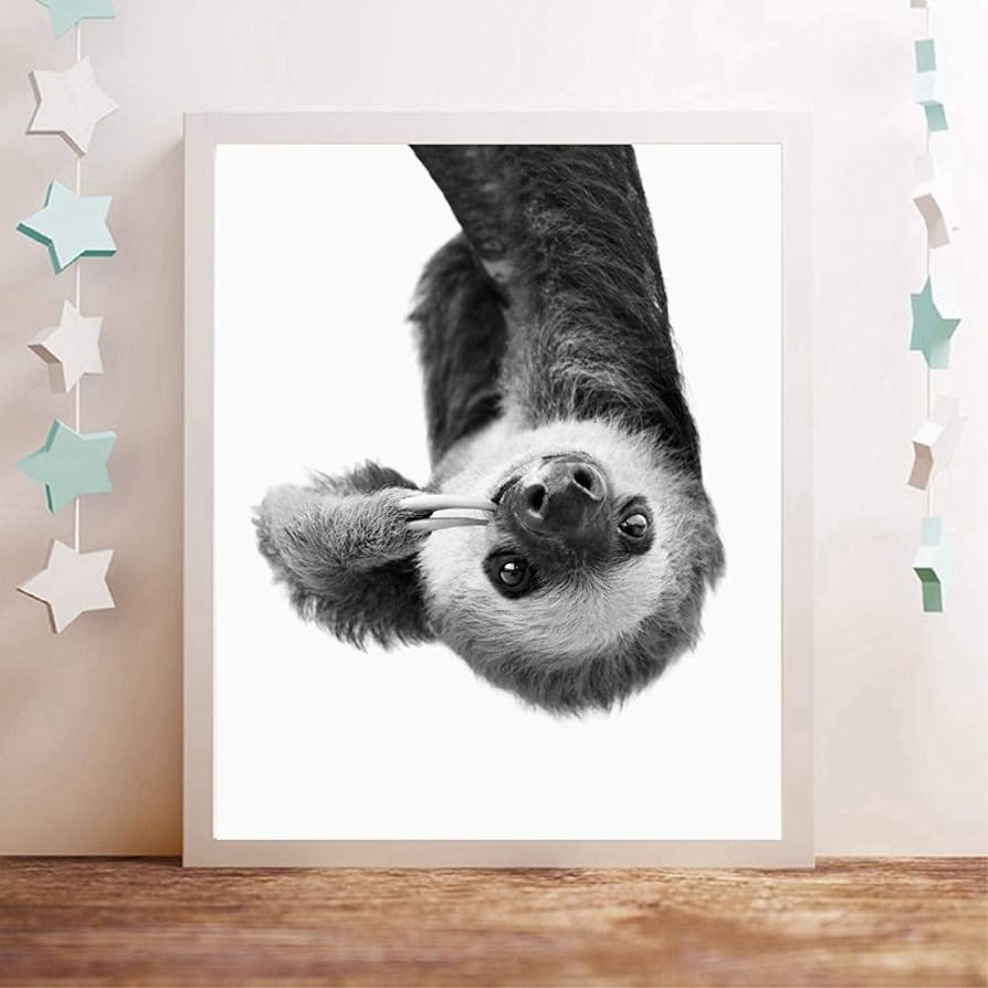 cute sloth posters